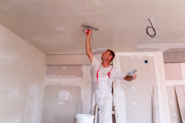  Silver Lakes, CA Drywall and Painting Service Pros